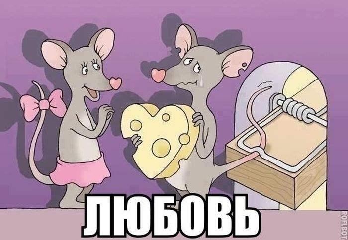 Порция картинок