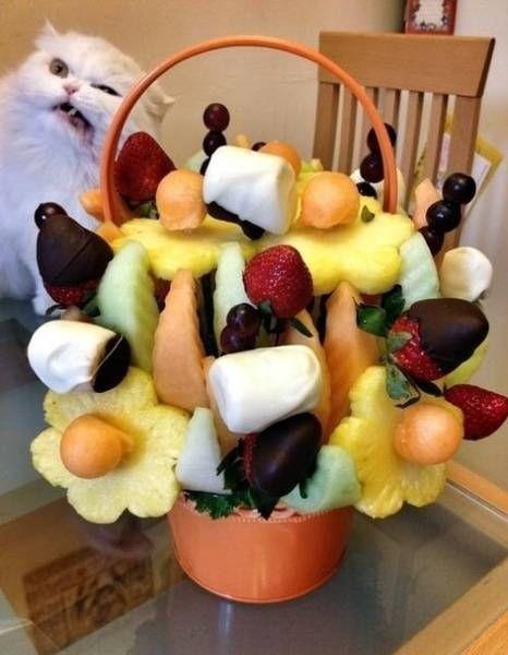 Много котиков и один Антонов (певец и композитор)