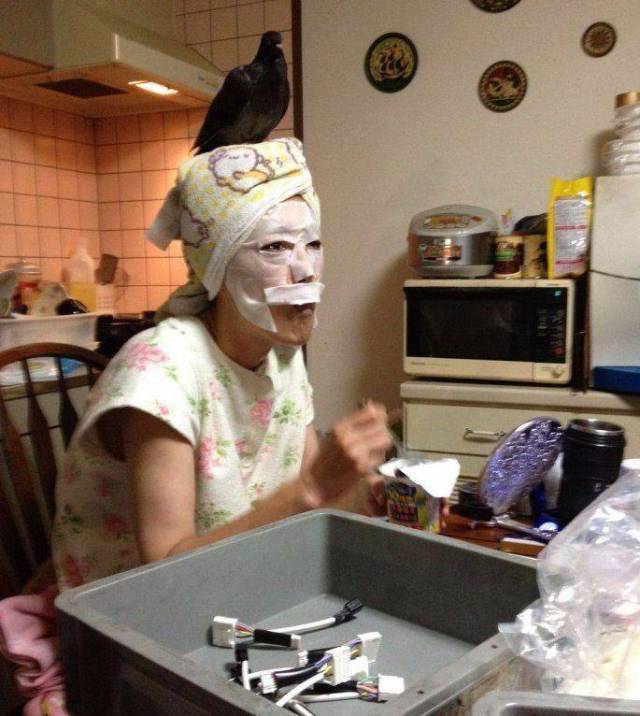 Девушки забавляются