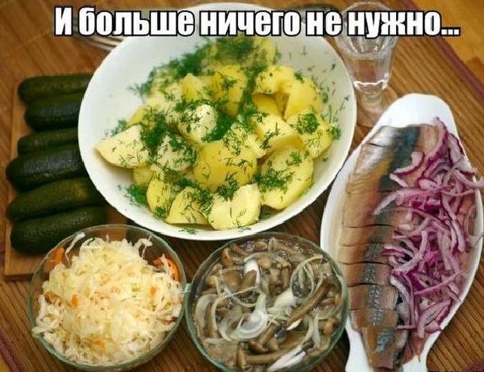 Прикольные картинки