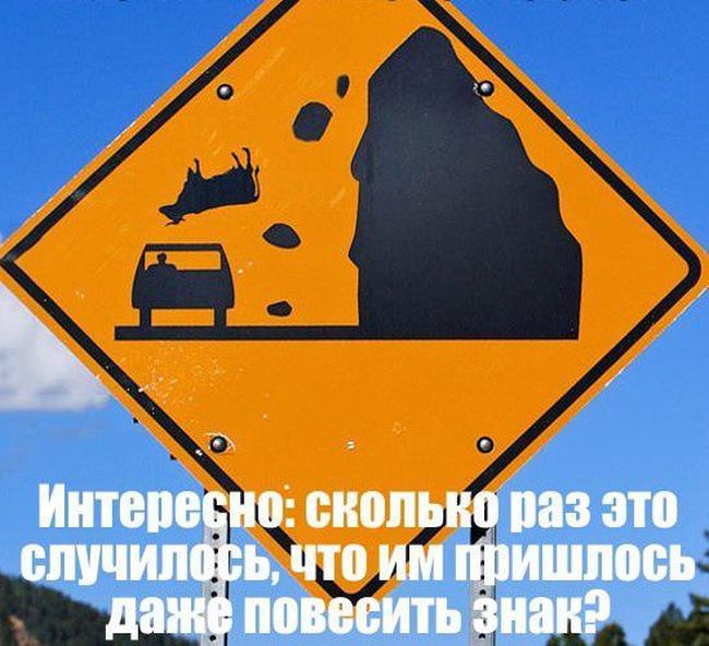Прикольные картинки