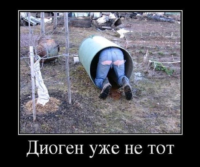 Демотиваторы