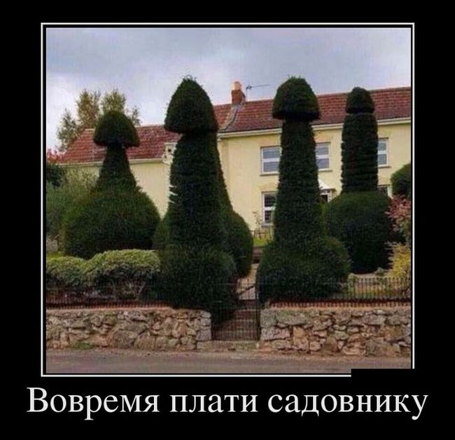 Демотиваторы