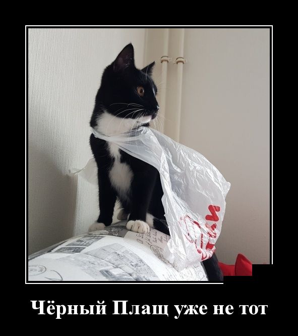 Демотиваторы