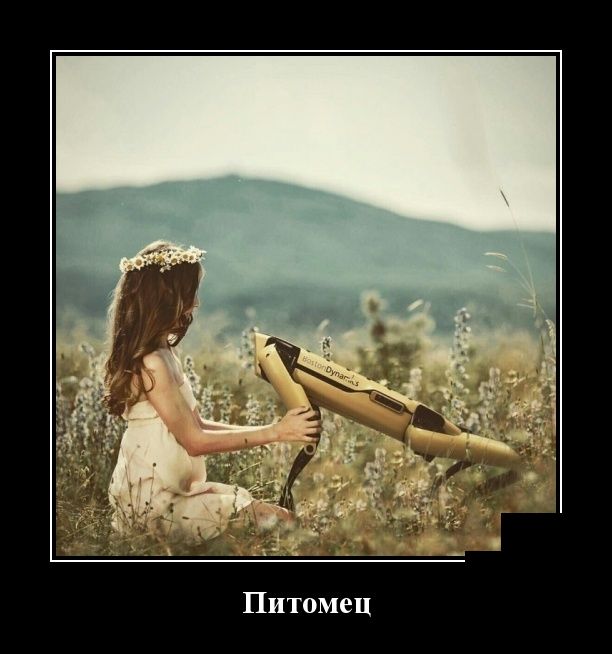 Демотиваторы
