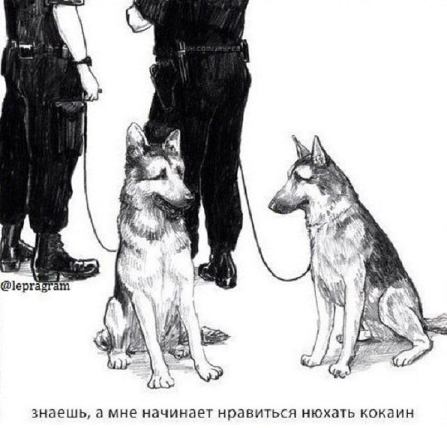 Смешные комиксы