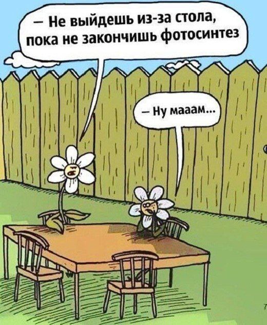 Смешные комиксы