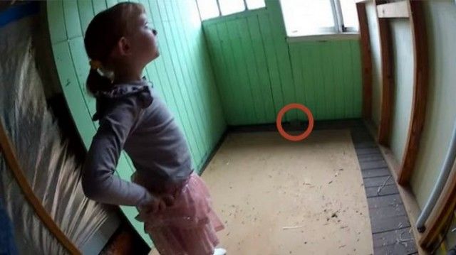 Таинственная находка