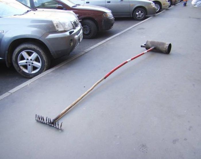 Прикольные картинки