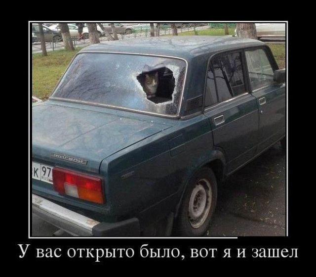 Демотиваторы