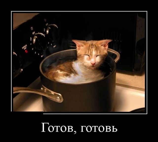 Демотиваторы