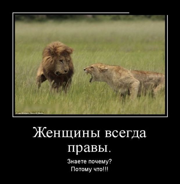 Демотиваторы