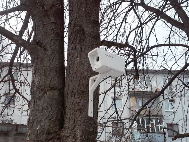 Гениальная идея