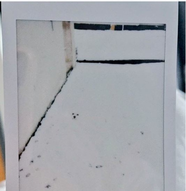 22 фотографии, которые заставят вас как следует присмотреться