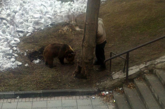 Обычное утро в России
