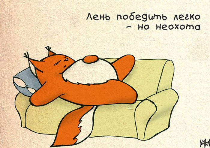 Девичья правда от Крошки Ши (31 картинка)