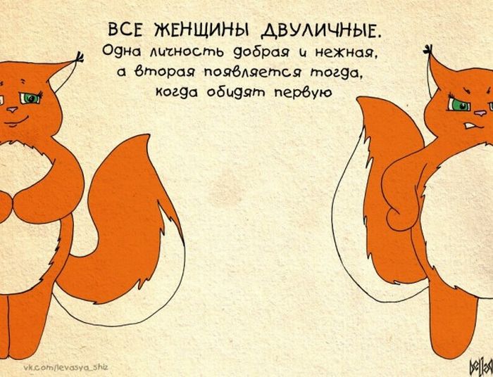 Девичья правда от Крошки Ши (31 картинка)