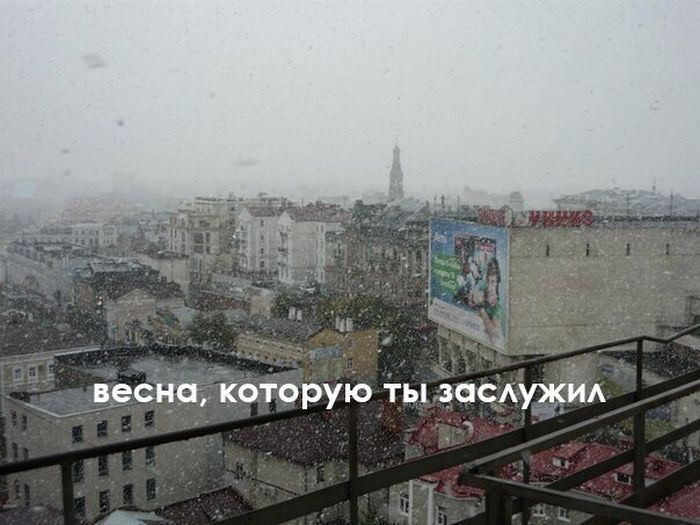 Порция картинок