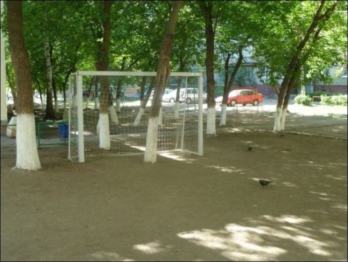 Прикольные картинки