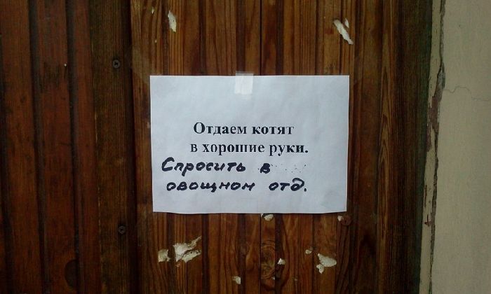 Надписи на стенах Петербурга