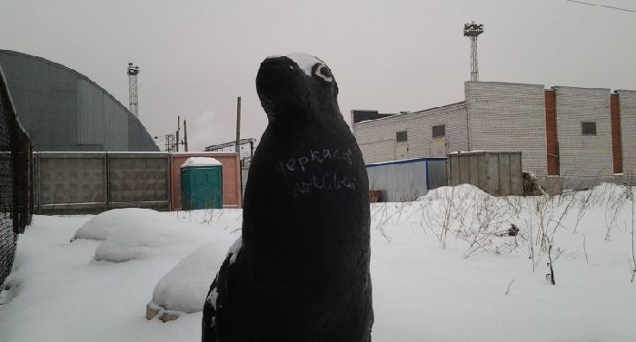 Надписи на стенах Петербурга