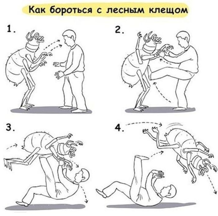 Веселые комиксы