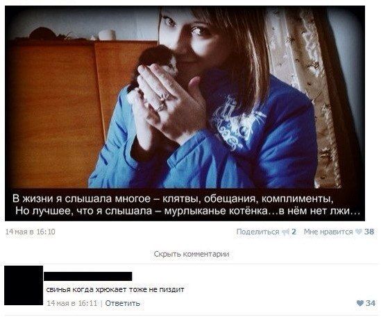Прикольные картинки (86 фото)
