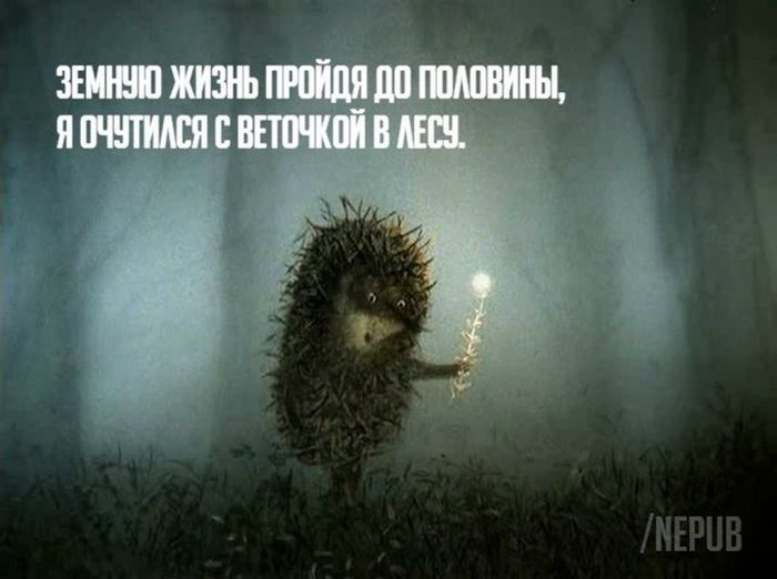 Прикольные картинки (86 фото)