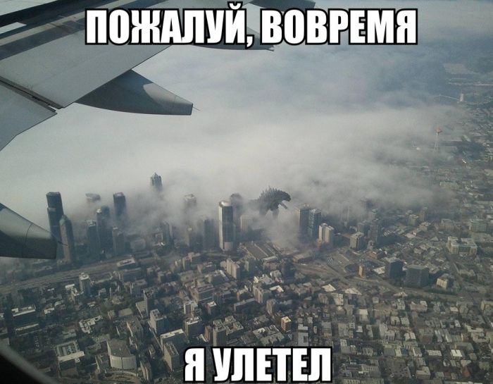 Прикольные картинки (86 фото)
