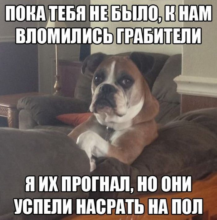Прикольные картинки (86 фото)