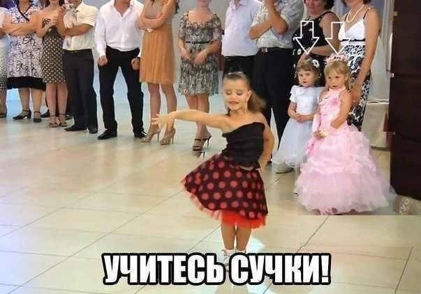 Прикольные картинки (86 фото)