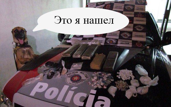 Прикольные картинки (86 фото)