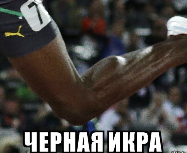 Прикольные картинки (86 фото)