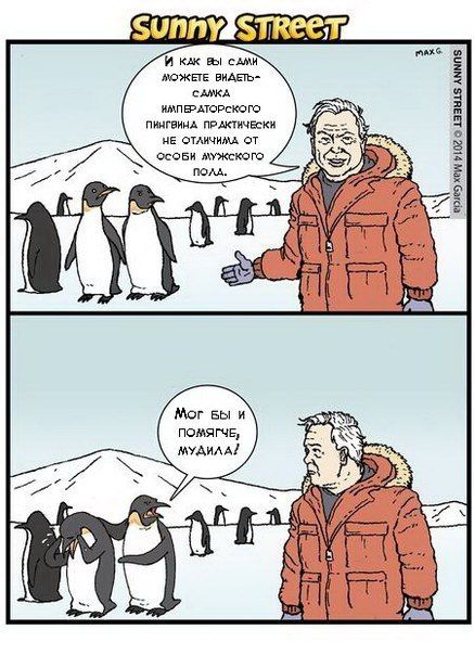 Прикольные картинки (86 фото)