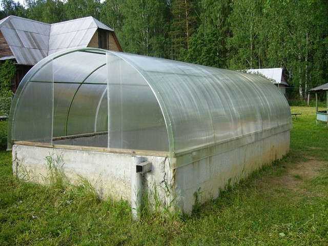 Отличная теплица на даче