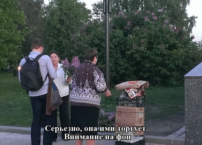Порция картинок