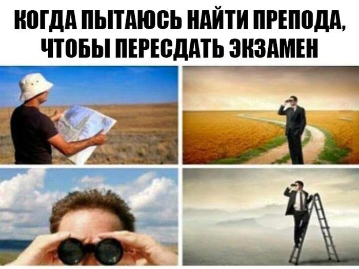 Порция картинок