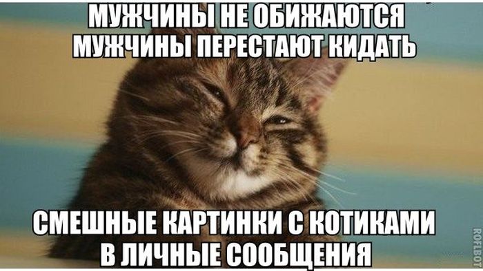 Порция картинок