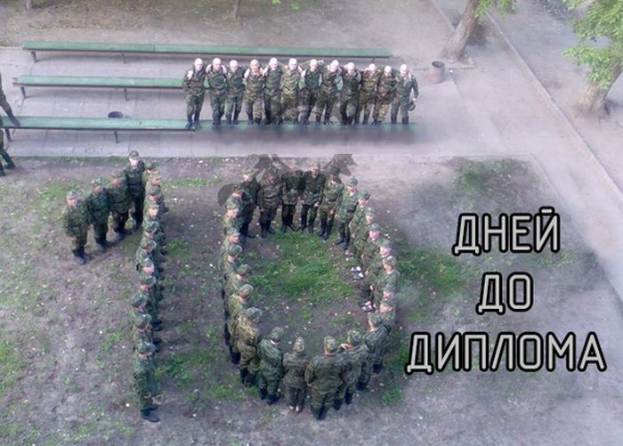Порция картинок