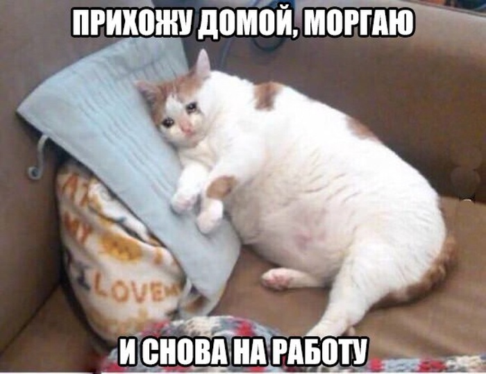 Картинки и приколы из социальных сетей