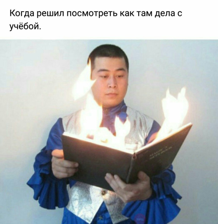 Картинки и приколы из социальных сетей