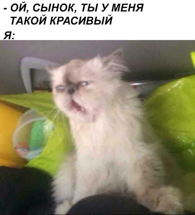 Картинки и приколы из социальных сетей