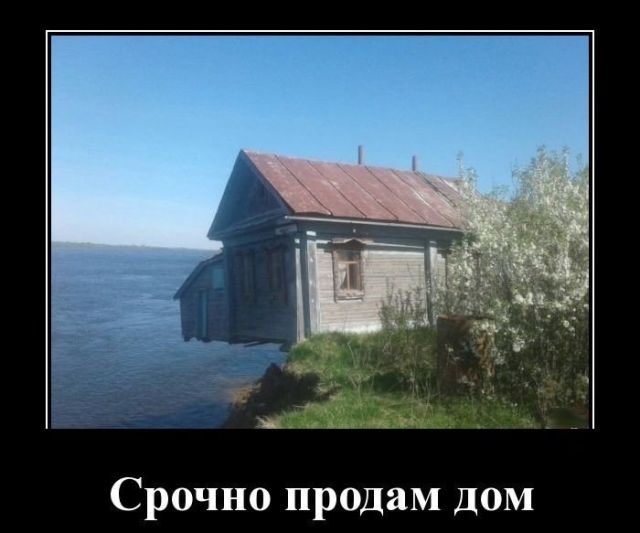 Демотиваторы