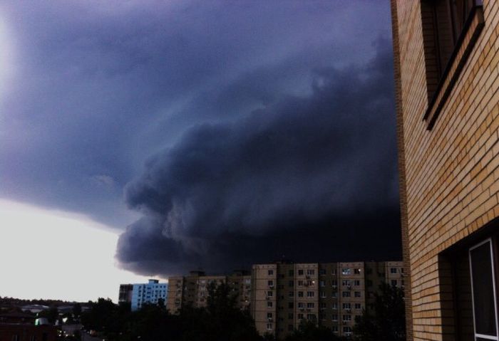 Порция картинок