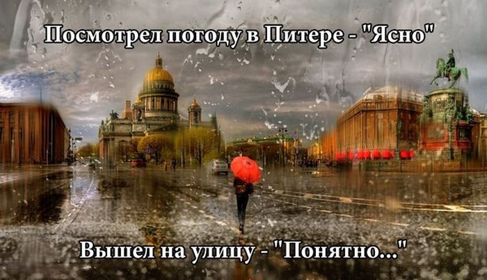Порция картинок