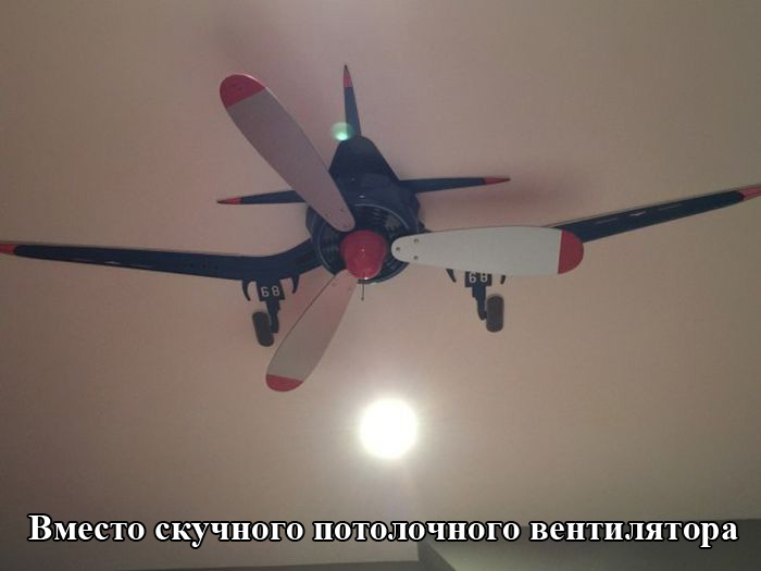 Порция картинок