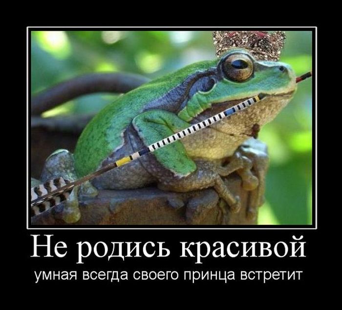 Демотиваторы