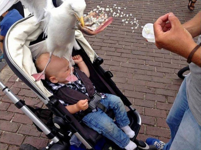 Дерьмо случается