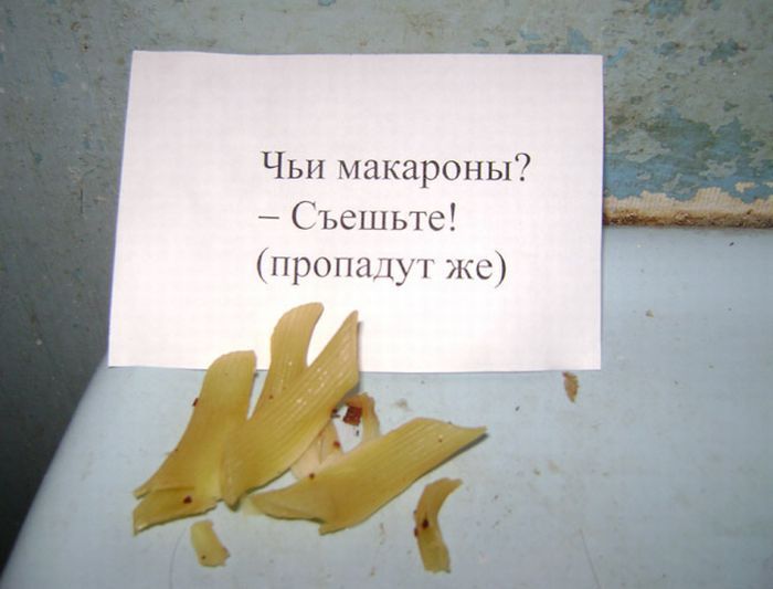 Веселая и беззаботная «общажная» жизнь
