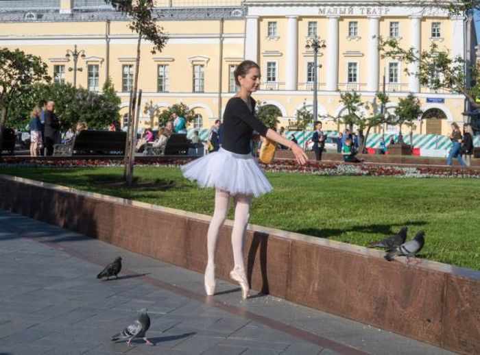 Прикольные картинки